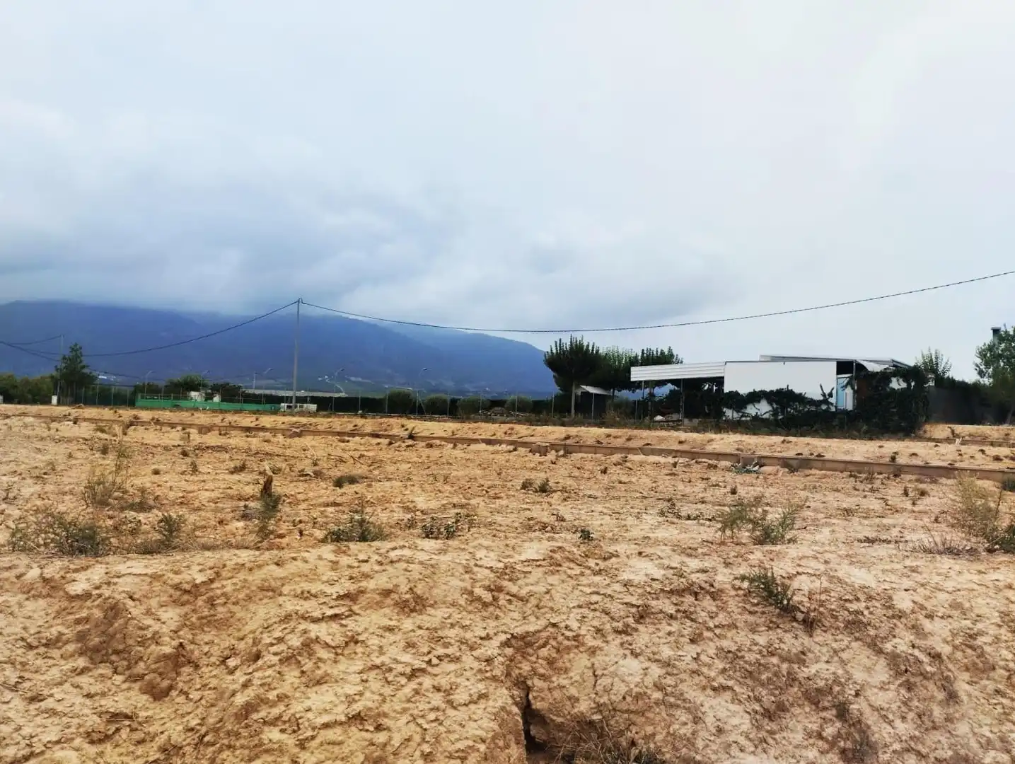 Terrain rustique à vendre à Camino de los Palacios, imagen 4