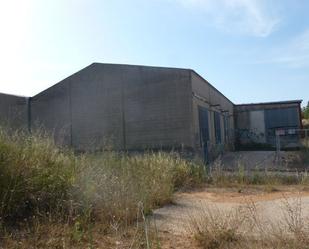 Vista exterior de Nau industrial en venda en Càlig