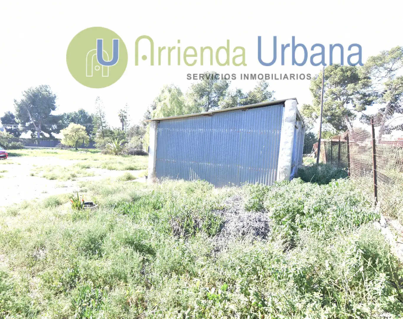 Jardí de Casa o xalet en venda en Elche / Elx amb Jardí privat i Terrassa