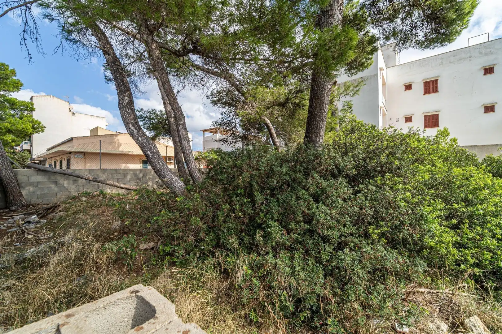 Rustikales Grundstück zum Verkauf in S'Illot - Cala Morlanda, imagen 9