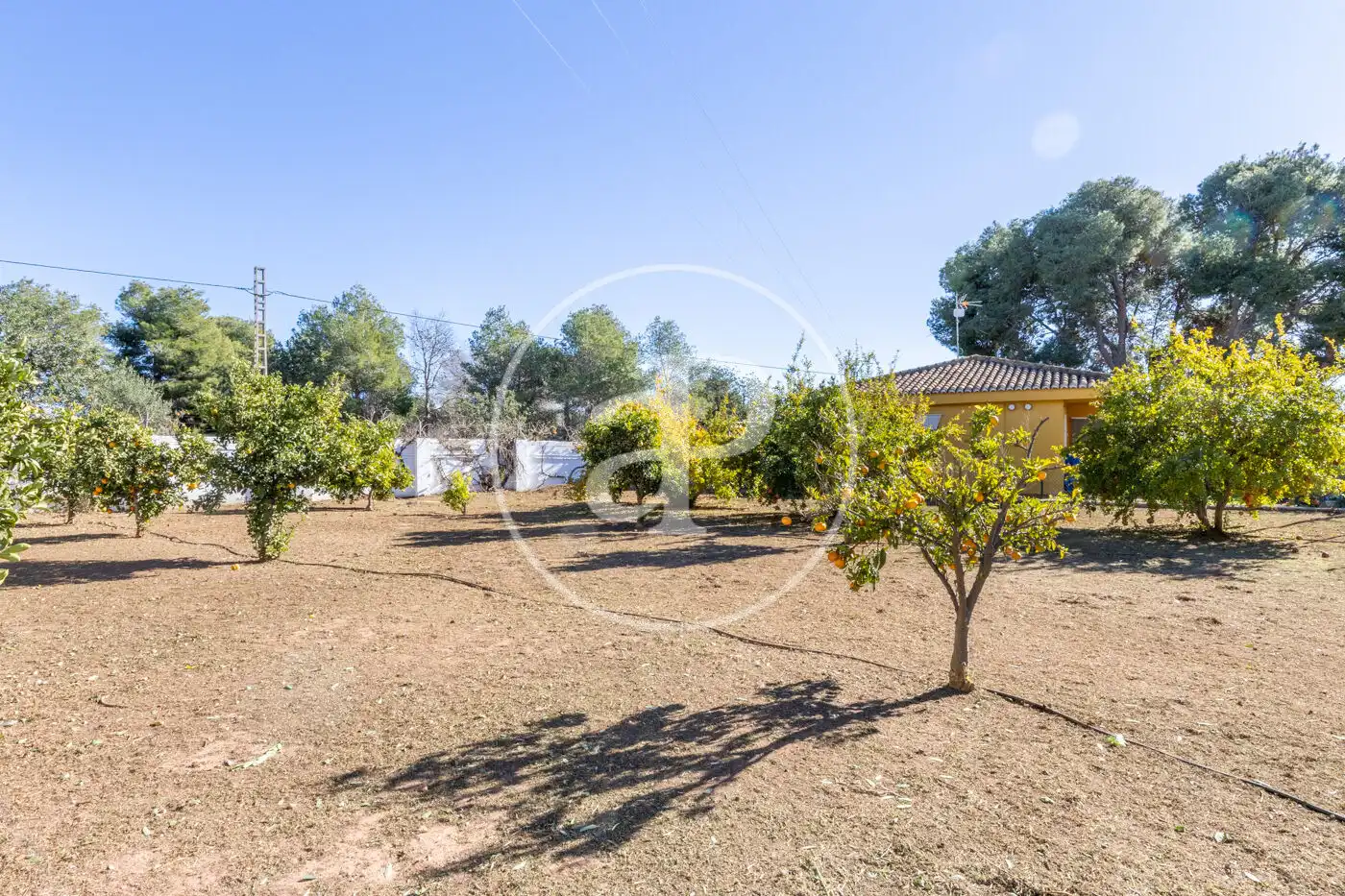 Casa con terrazza in vendita a Los Pinares - La Masia, imagen 54