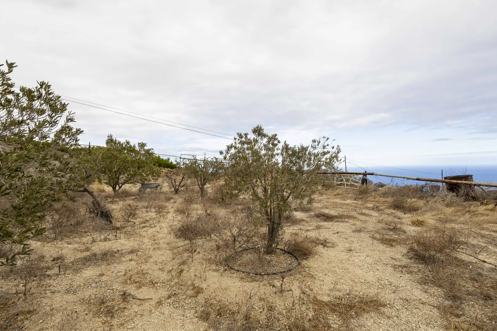 Casa o chalet en venta en Güímar con Jardín privado y Terraza
