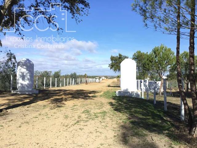 Finca rústica en Venta en Almonte ciudad