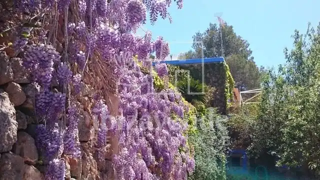 Villa mit Pool zur Miete in N/A, imagen 12