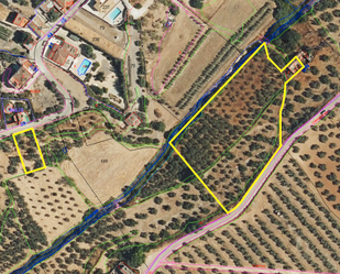 Land for sale in Lora de Estepa