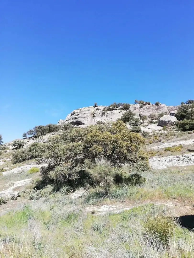 Casa en venda a Zagra, imagen 19