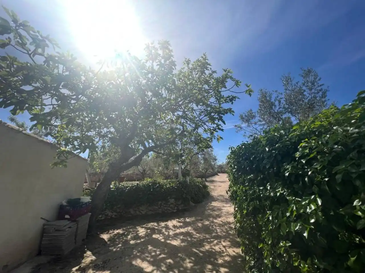 Chalet con jardín en venta en Calle Poligono, imagen 153