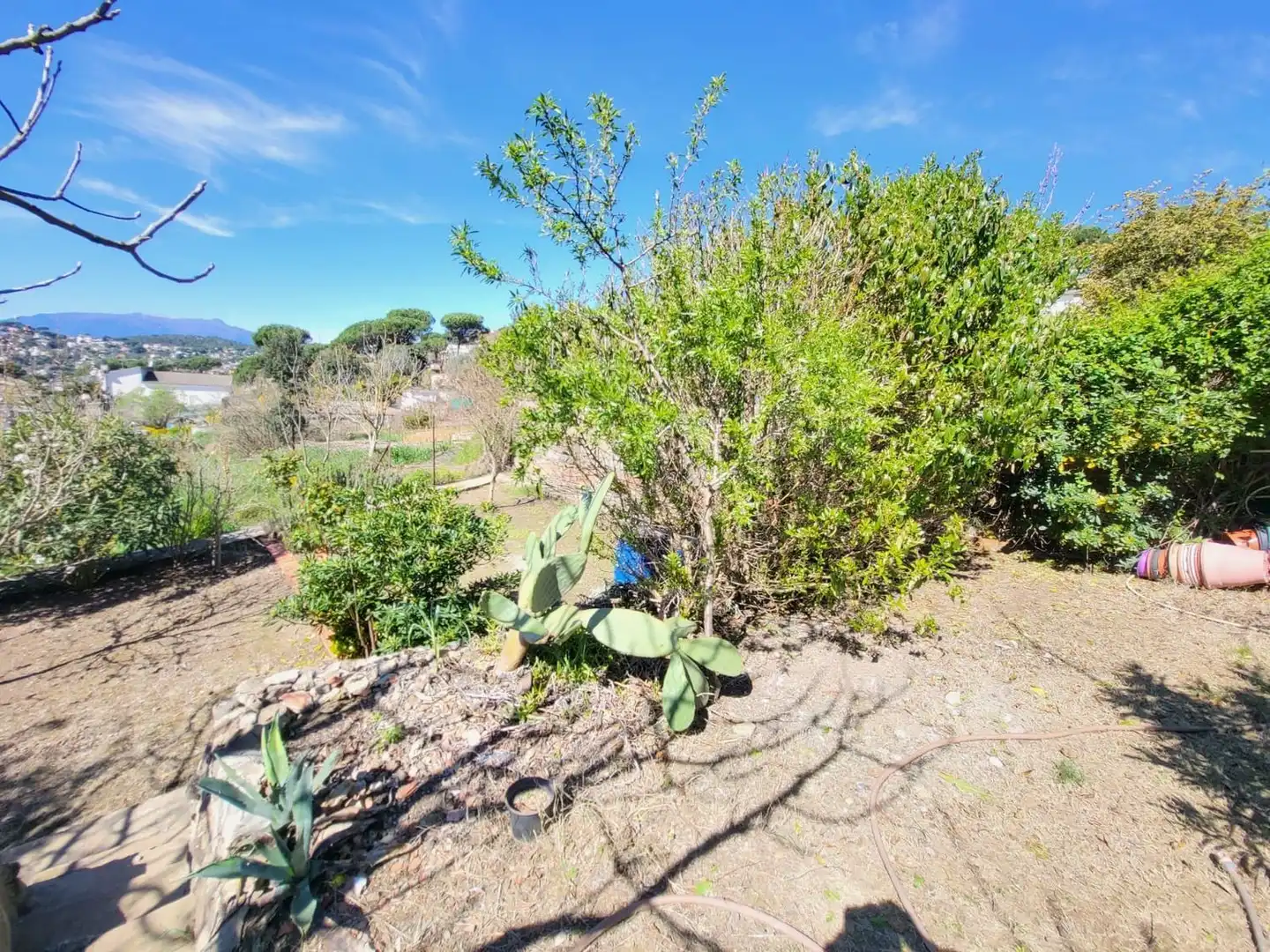 Xalet amb piscina en venda a Calle Cap de Creus, imagen 41