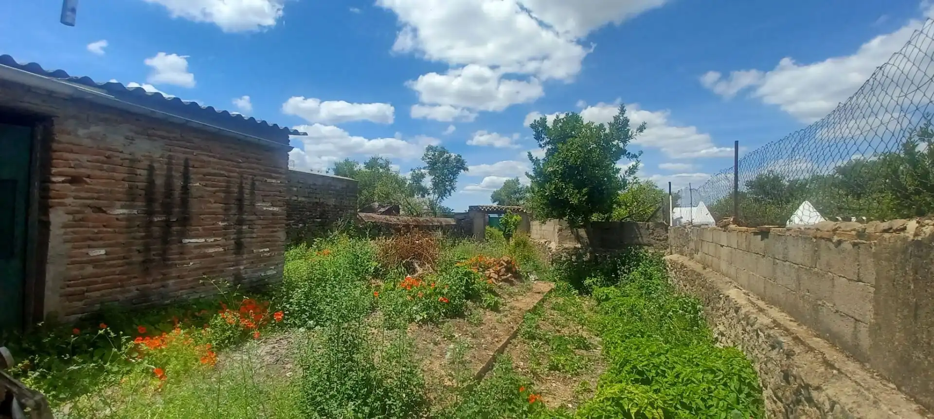 Haus zum Verkauf in Castilblanco de los Arroyos, imagen 21