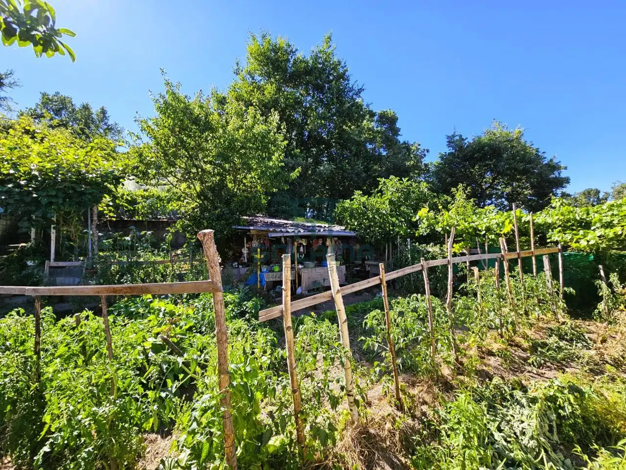 Jardí de Casa o xalet en venda en Ourense Capital  amb Calefacció i Jardí privat