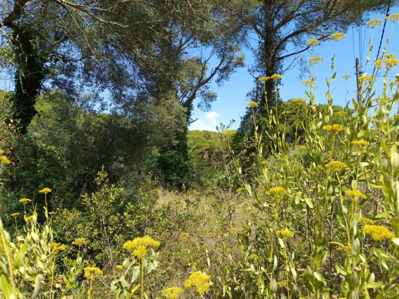 Residencial en venda en Palafrugell
