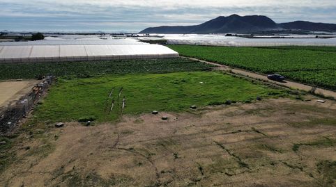 Foto 4 von Residential zum Verkauf in Balsicas, Torre-Pacheco