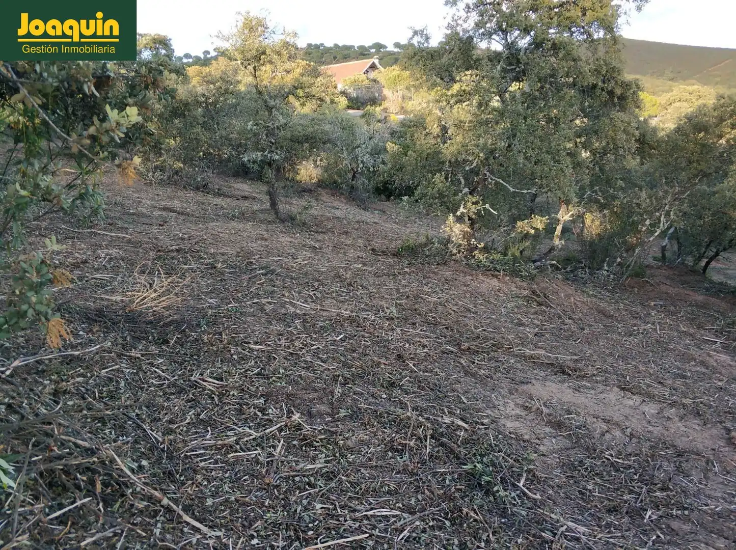 Terreno en venta en Obejo