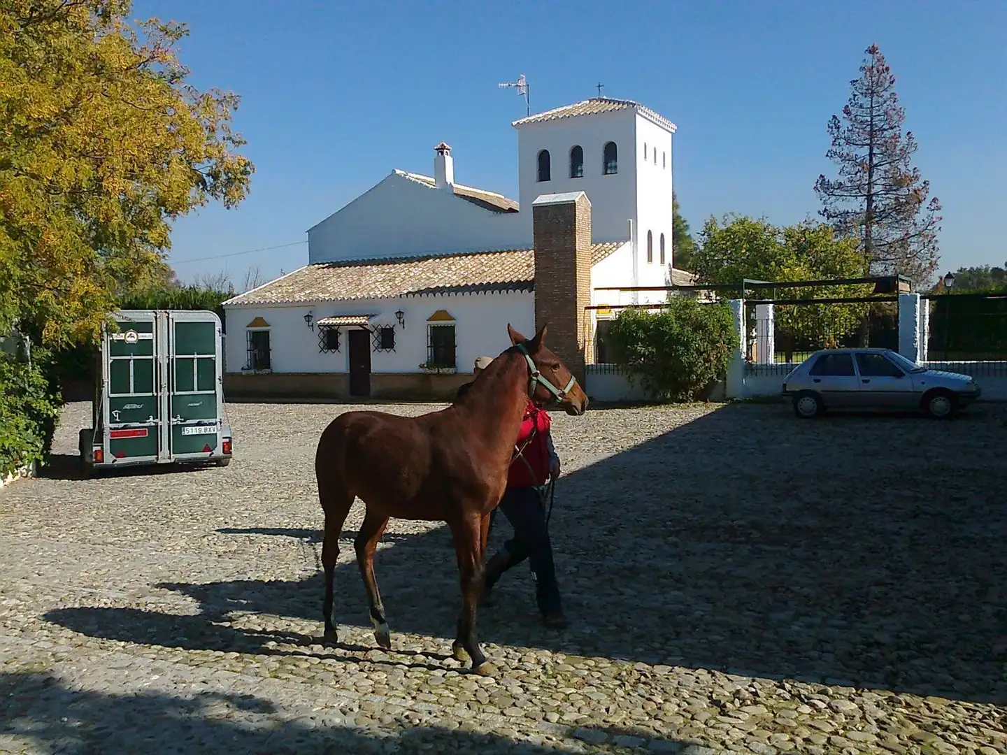 Exterior view of Country homes for sale in Marchena  with Terrace and Swimming Pool