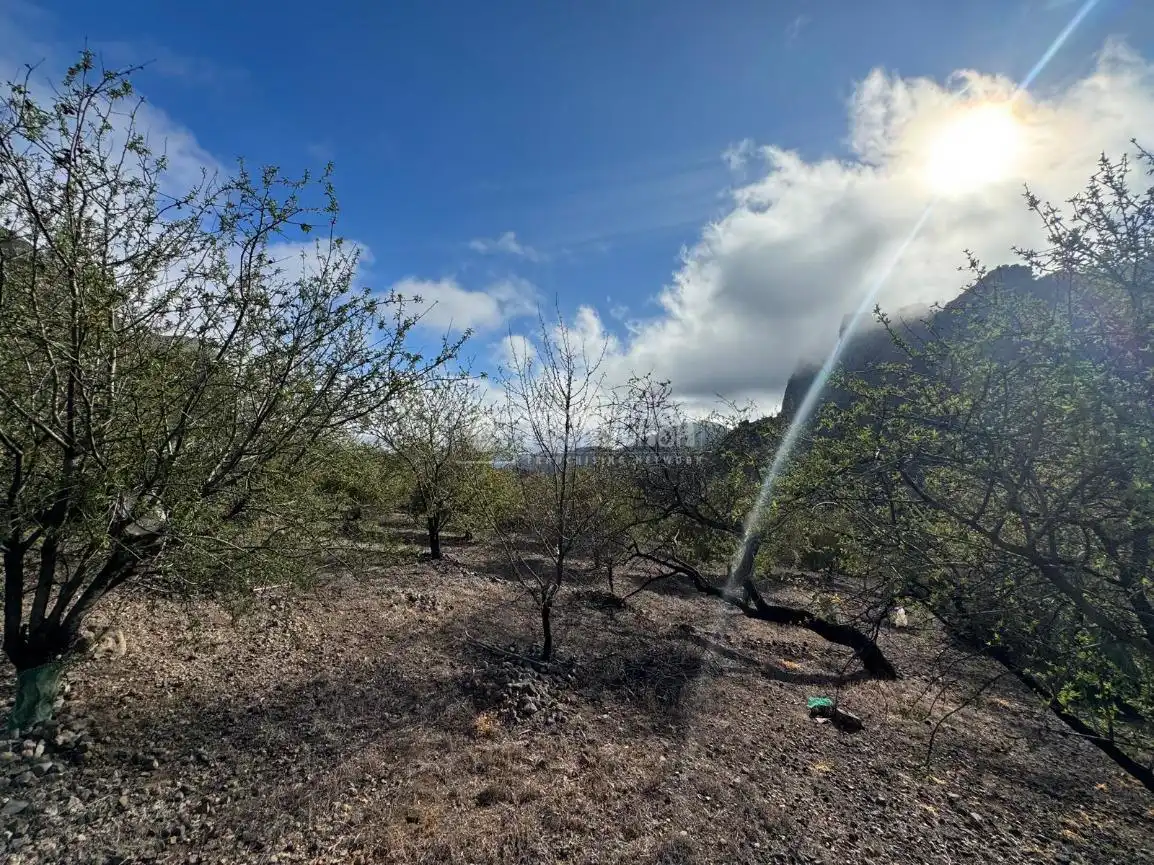 Terreno en venta en San Bartolomé Interior