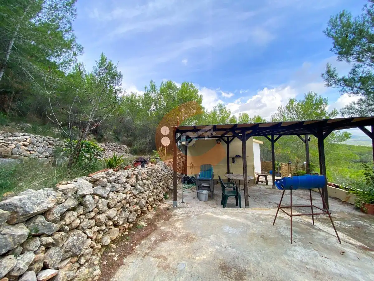 Jardí de Casa o xalet en venda en La Bisbal del Penedès amb Aire condicionat, Calefacció i Terrassa