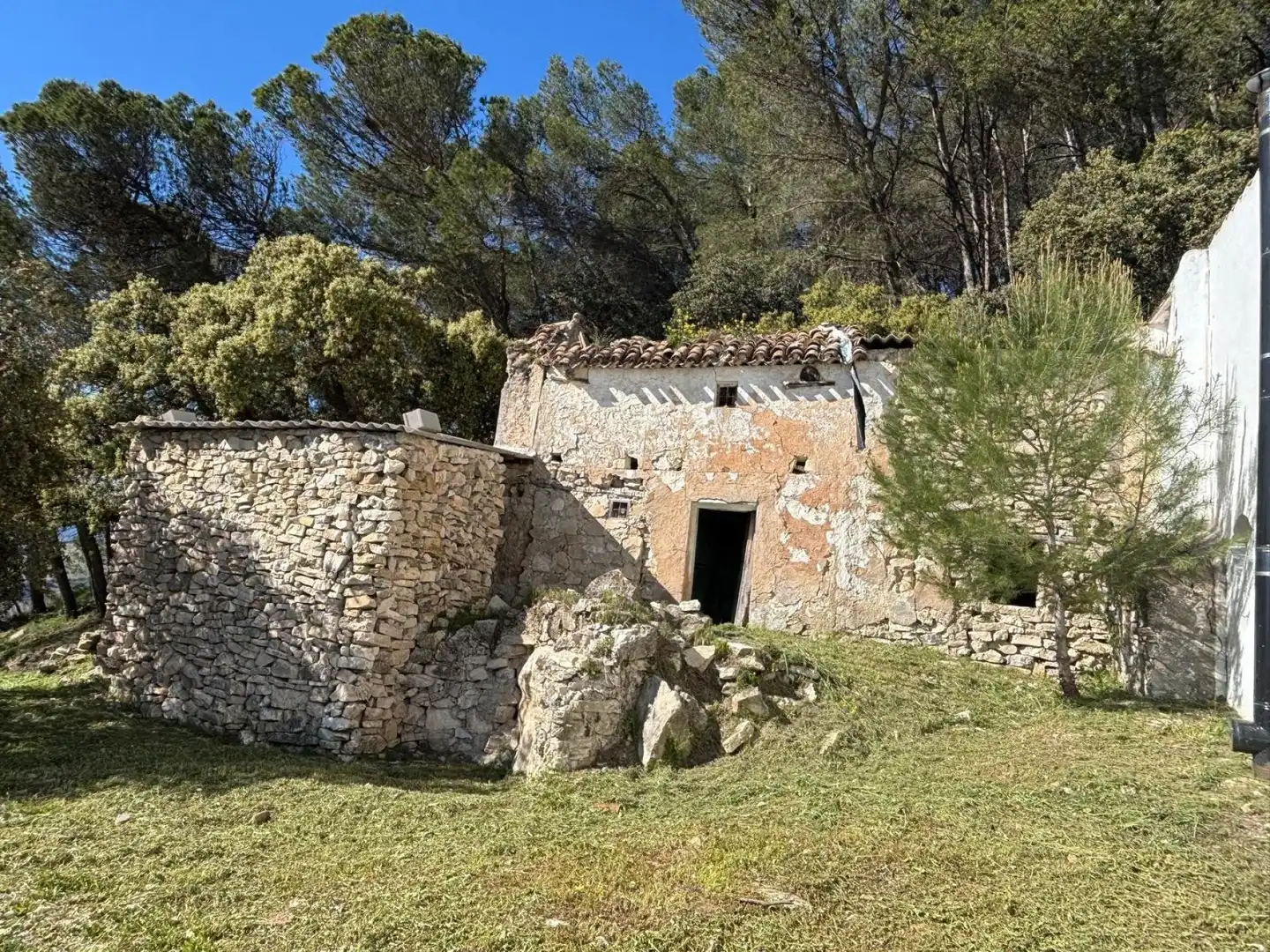 Terrain rustique à vendre à Loja, imagen 6