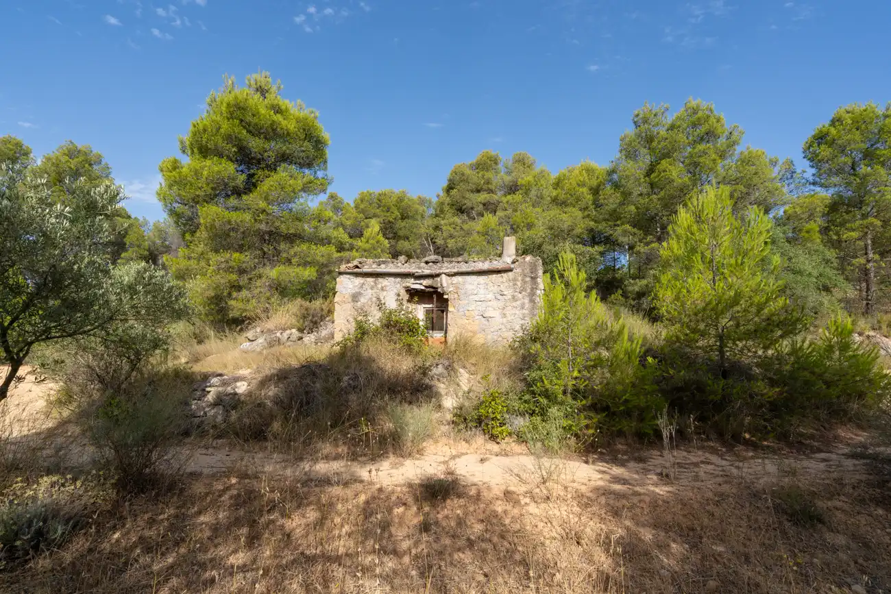 Land for sale in Caseres