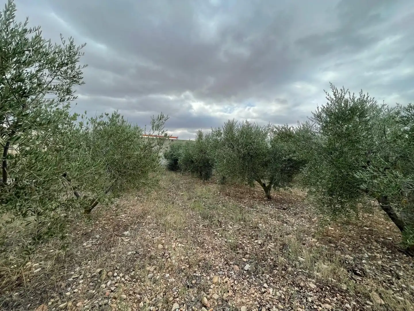 Terreni e lotti in vendita a santa catalina, imagen 16