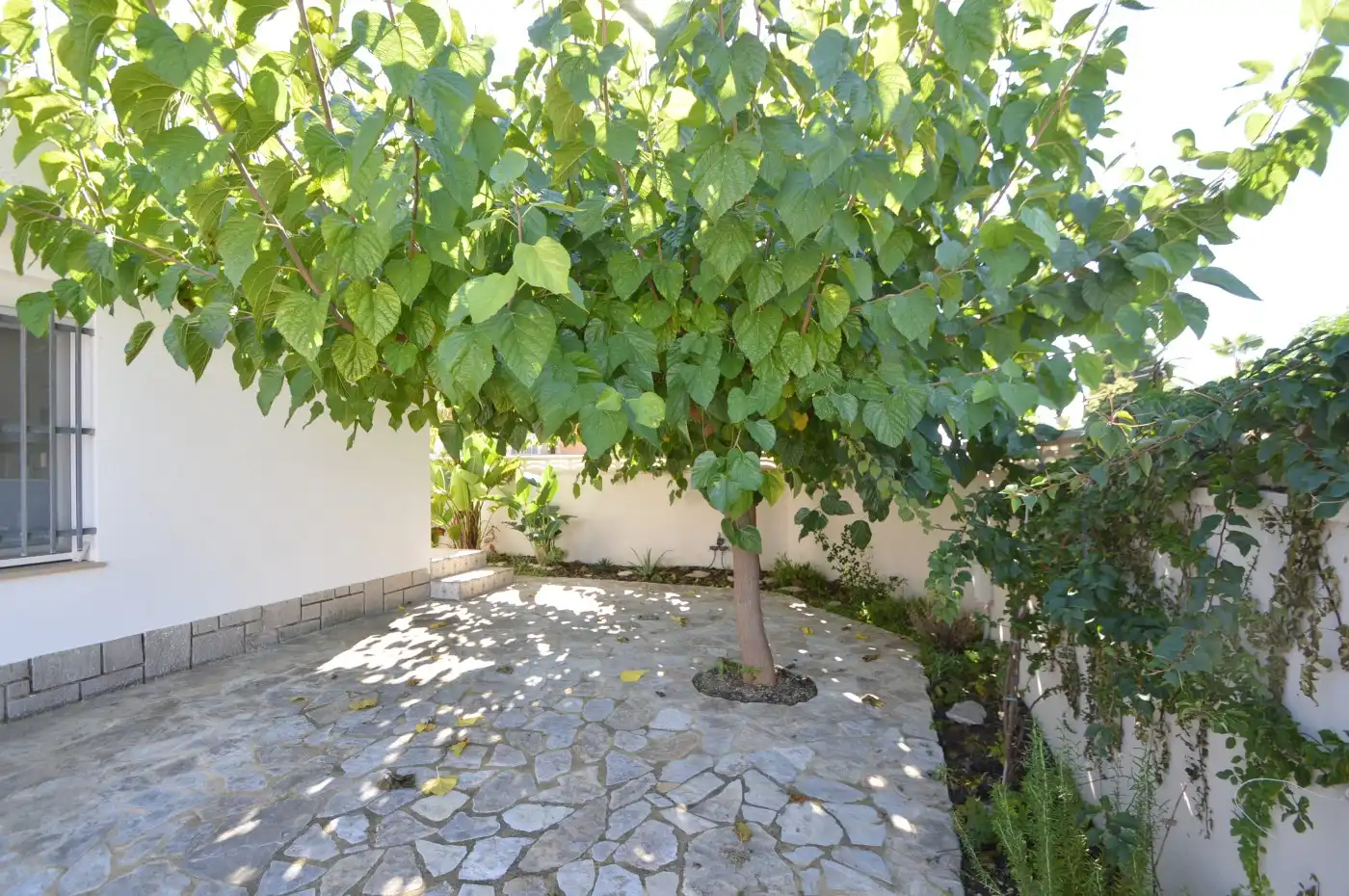 Villa con piscina in vendita a Costa Norte, imagen 13