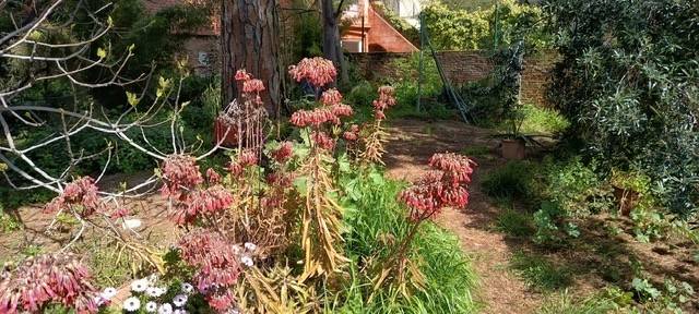 Casa adosada en Venta en Sant Pere