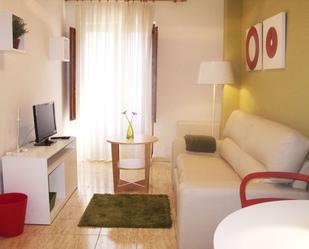 Sala d'estar de Apartament per a compartir en Salamanca Capital amb Aire condicionat i Terrassa