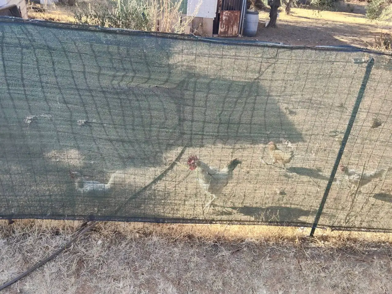 Villa con piscina in vendita a Urbanizacion Arrobones, imagen 13
