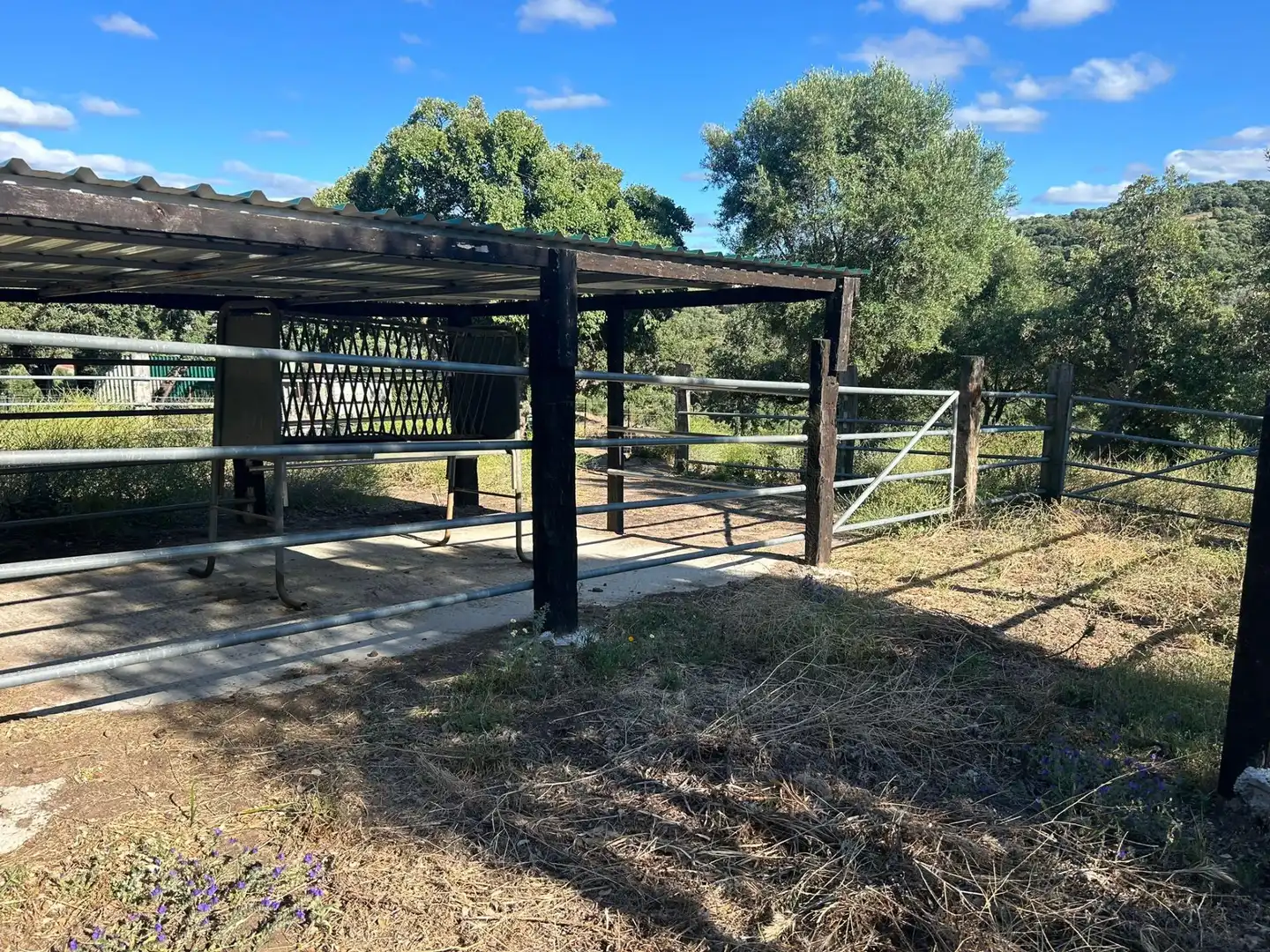 Country homes for sale in Alcalá de los Gazules  with Terrace