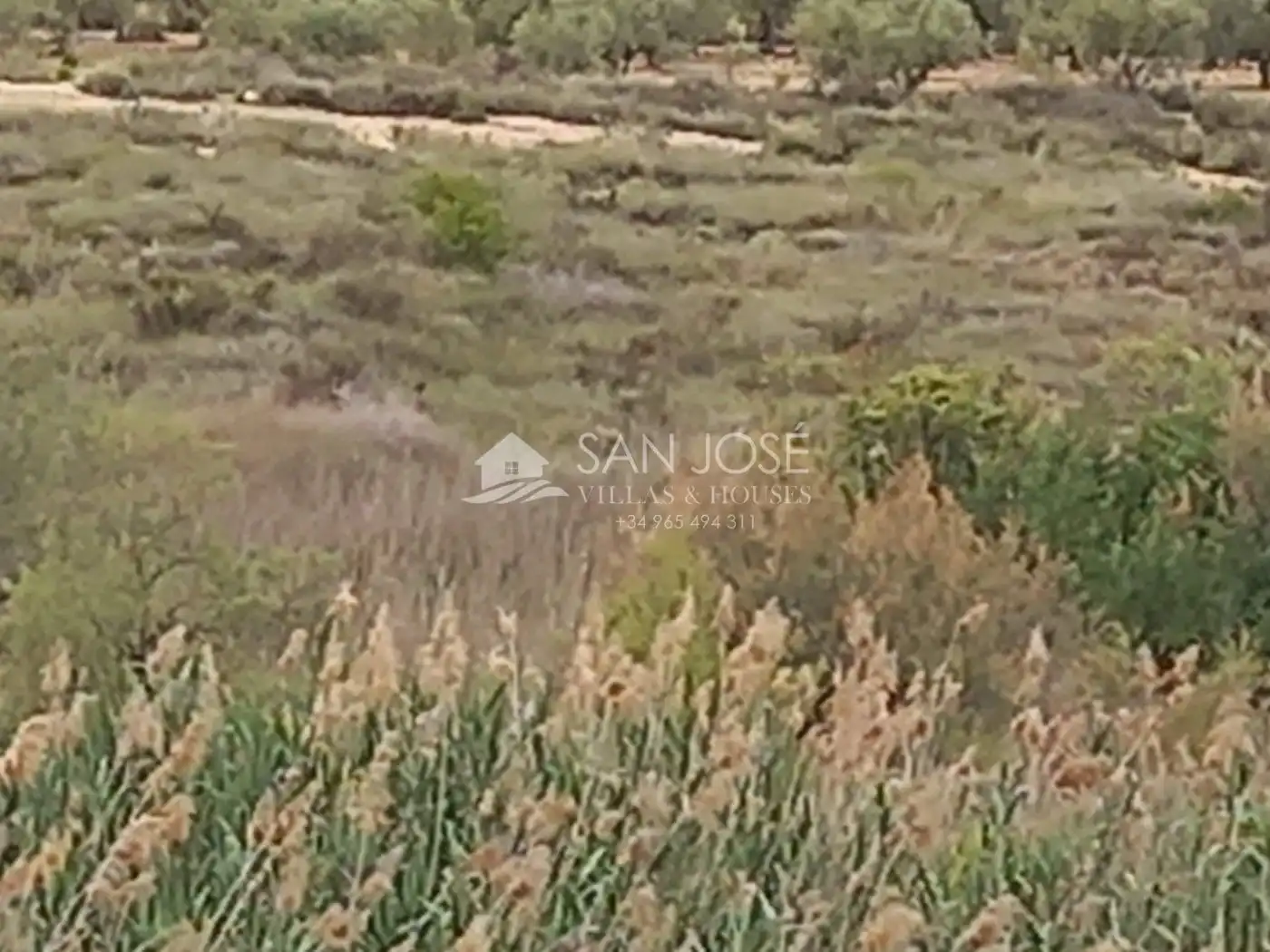 Rural land for sale in Novelda, imagen 17
