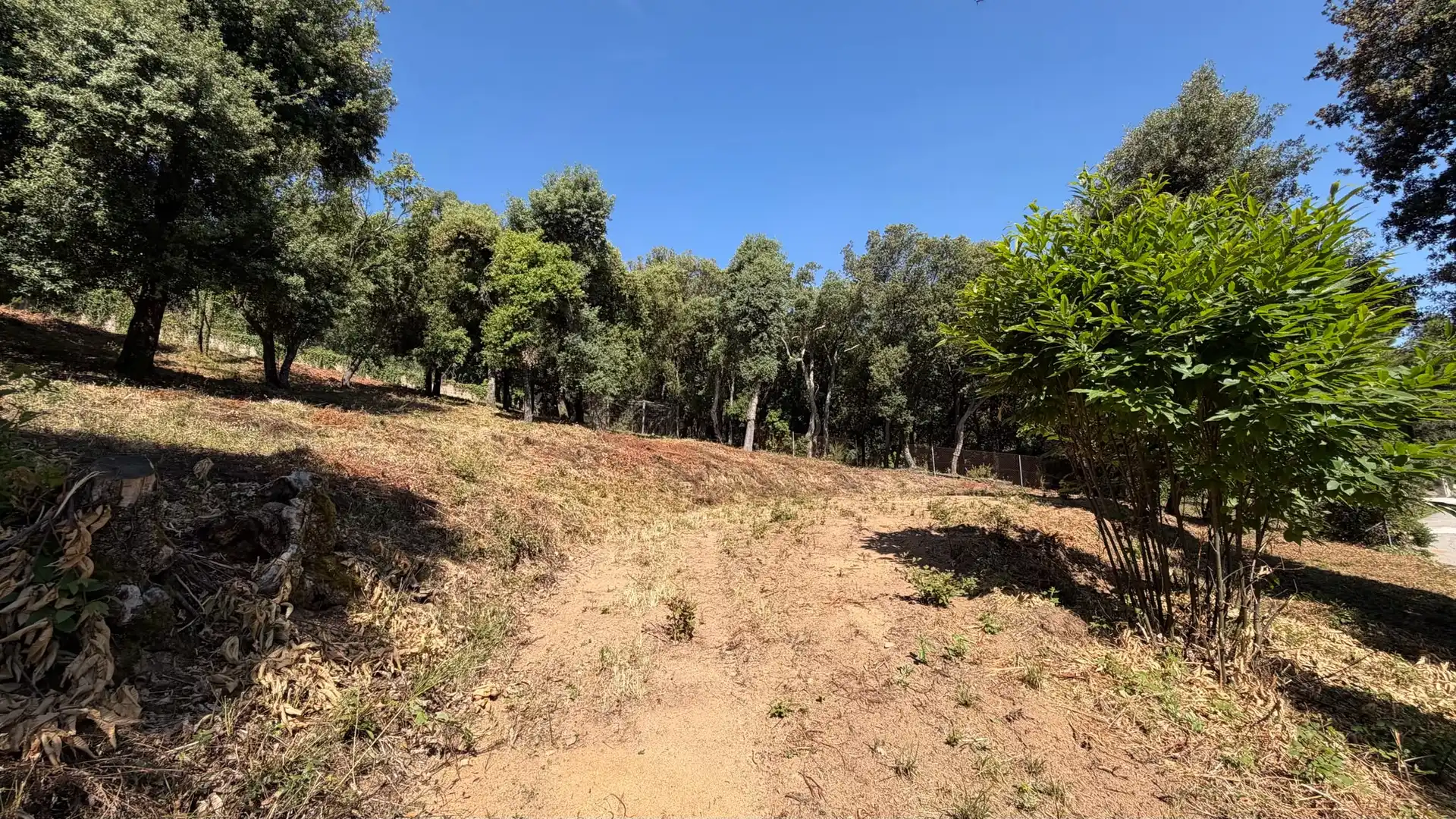 Terreno residencial en venta en Arbúcies, imagen 4