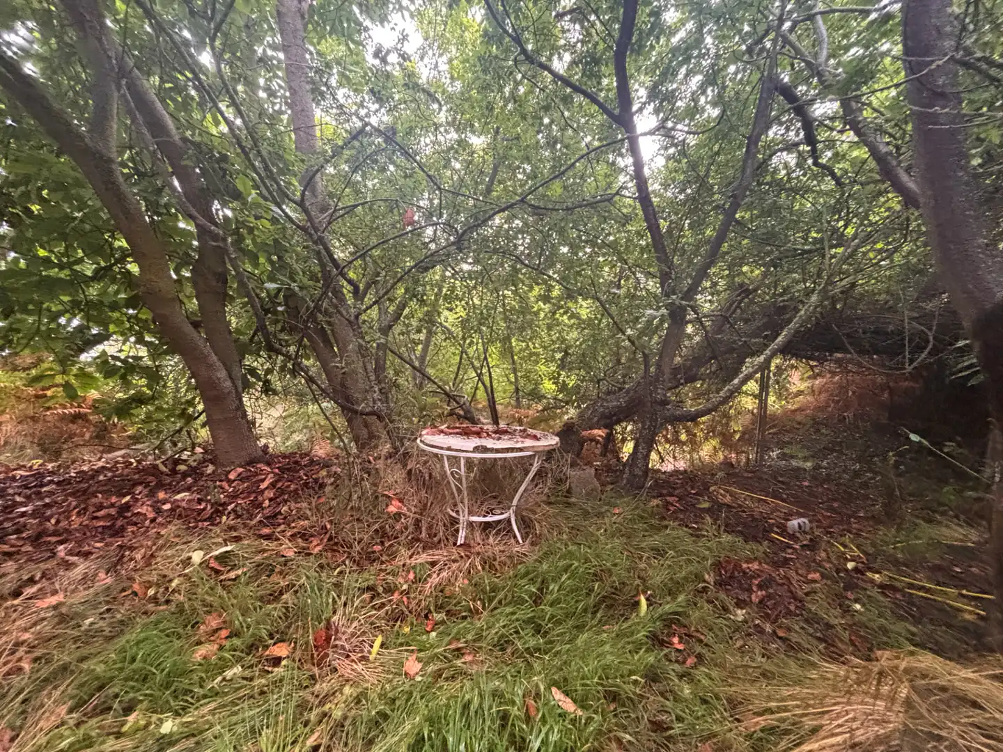 Jardín de Finca rústica en venta en Los Realejos con Jardín privado y Terraza