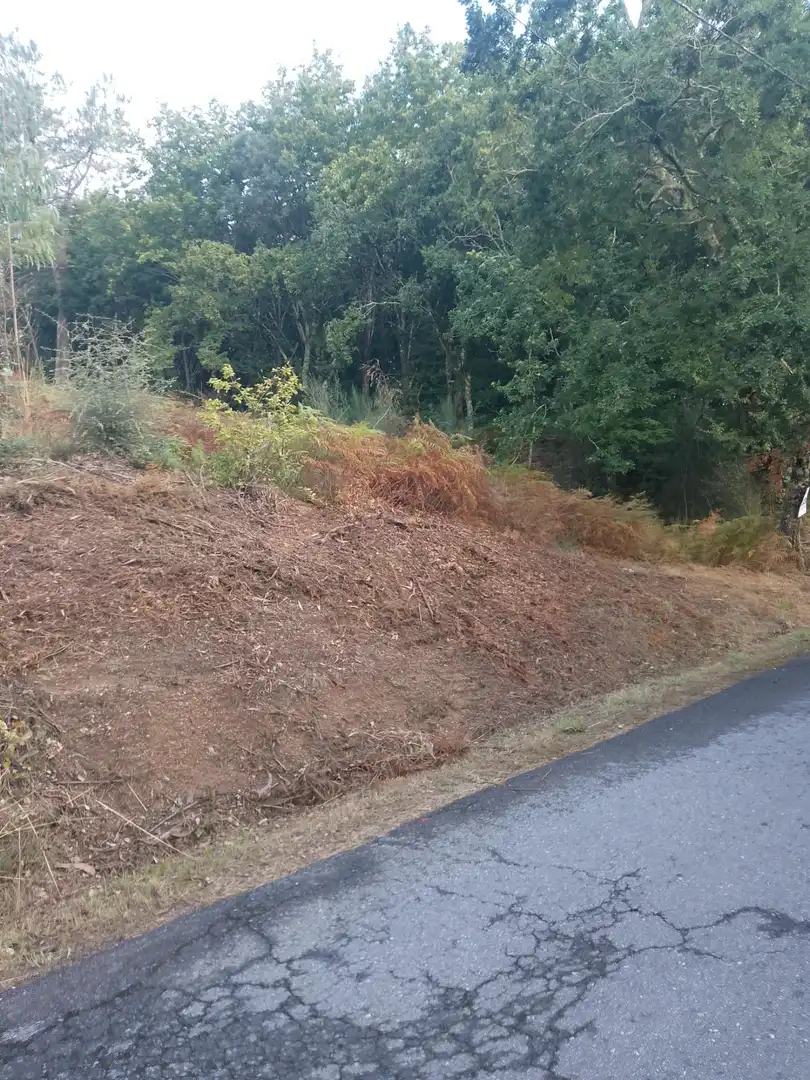 Terreno rustico in vendita a Meis, imagen 11