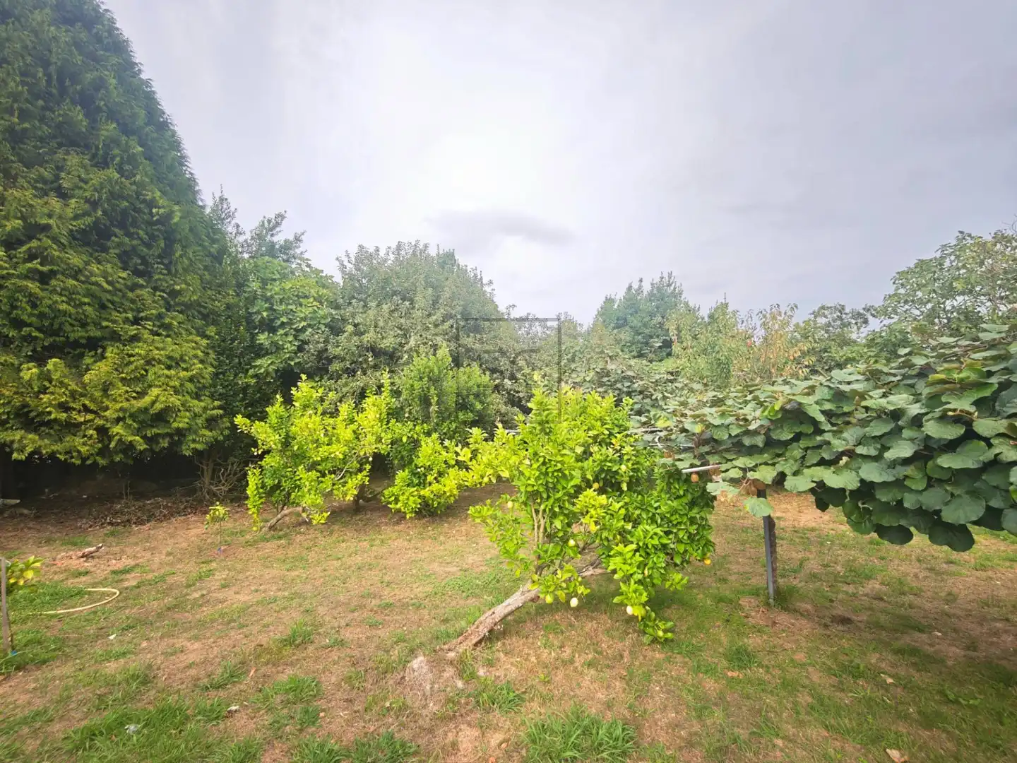 Maison avec jardin à vendre à Carretera GOLPILLEIRA, imagen 43