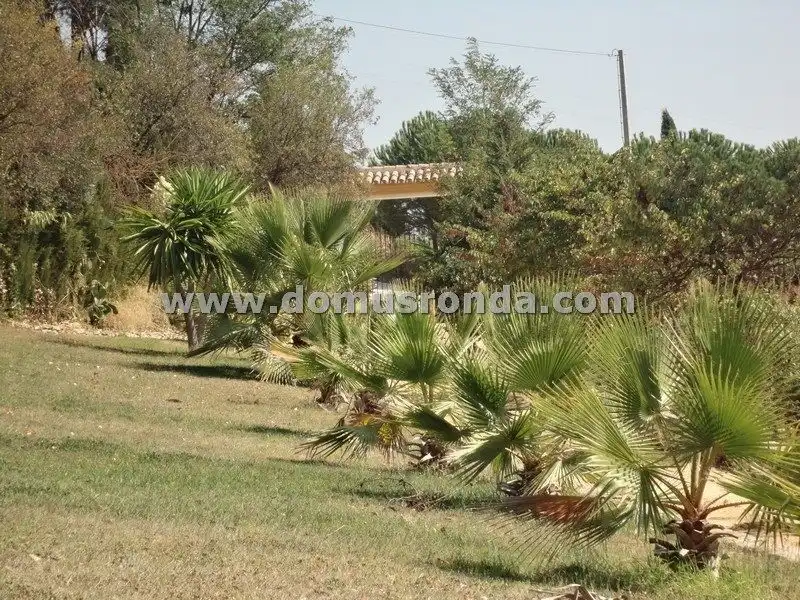 Villa con terrazza in vendita a Centro, imagen 64