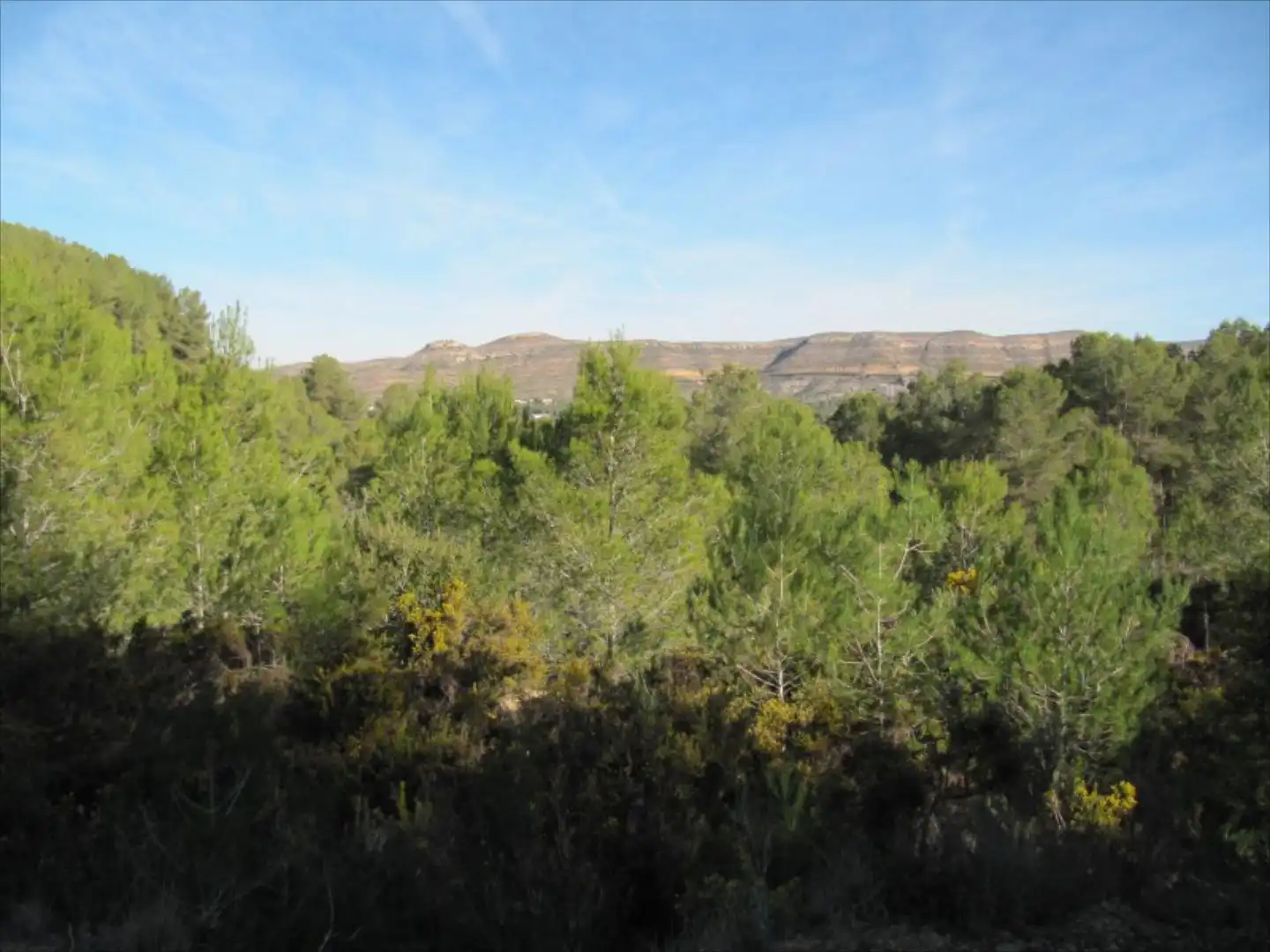 Residential for sale in Barxeta