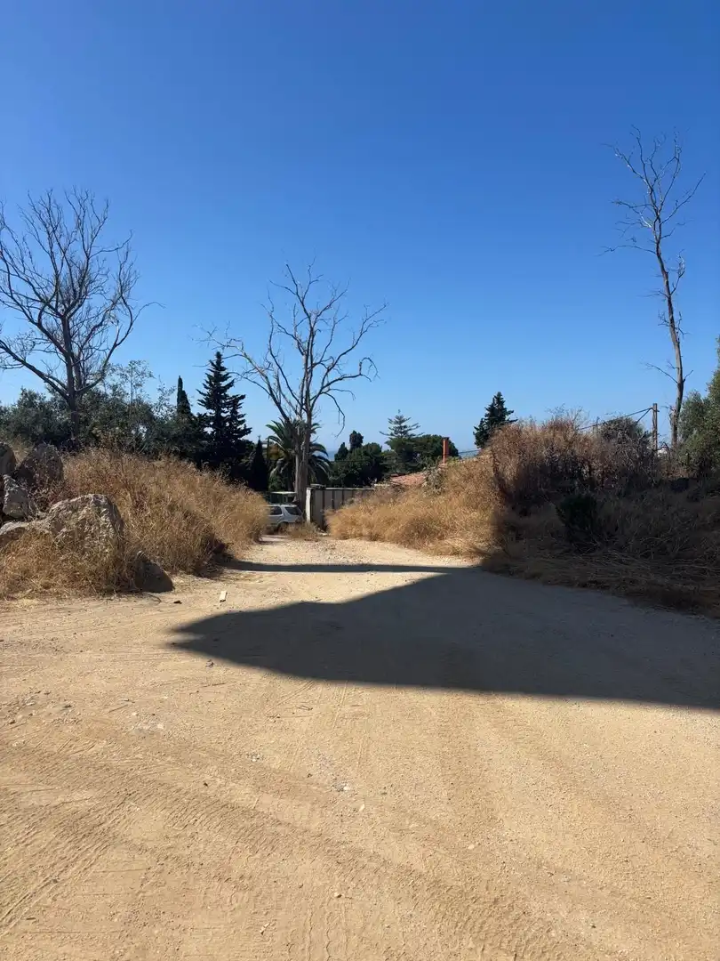 Exterior view of Land for sale in Marbella