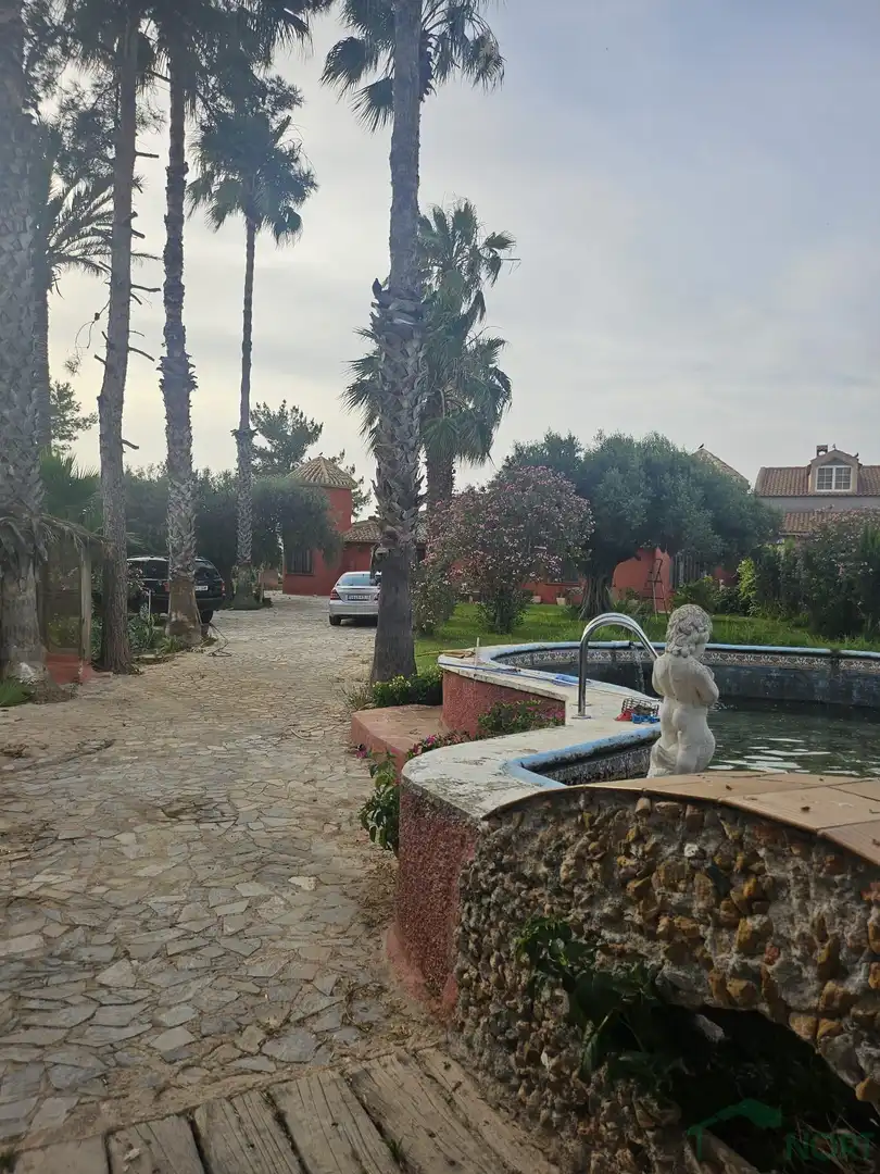 Garten von Haus oder Chalet zum Verkauf in Torre-Pacheco mit Heizung, Abstellraum und Schwimmbad