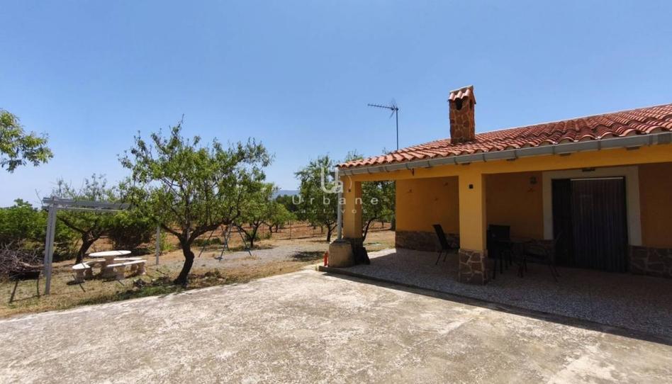 Foto 1 de Finca rústica en venda a Zarzadilla  de Mula, Mula, Murcia