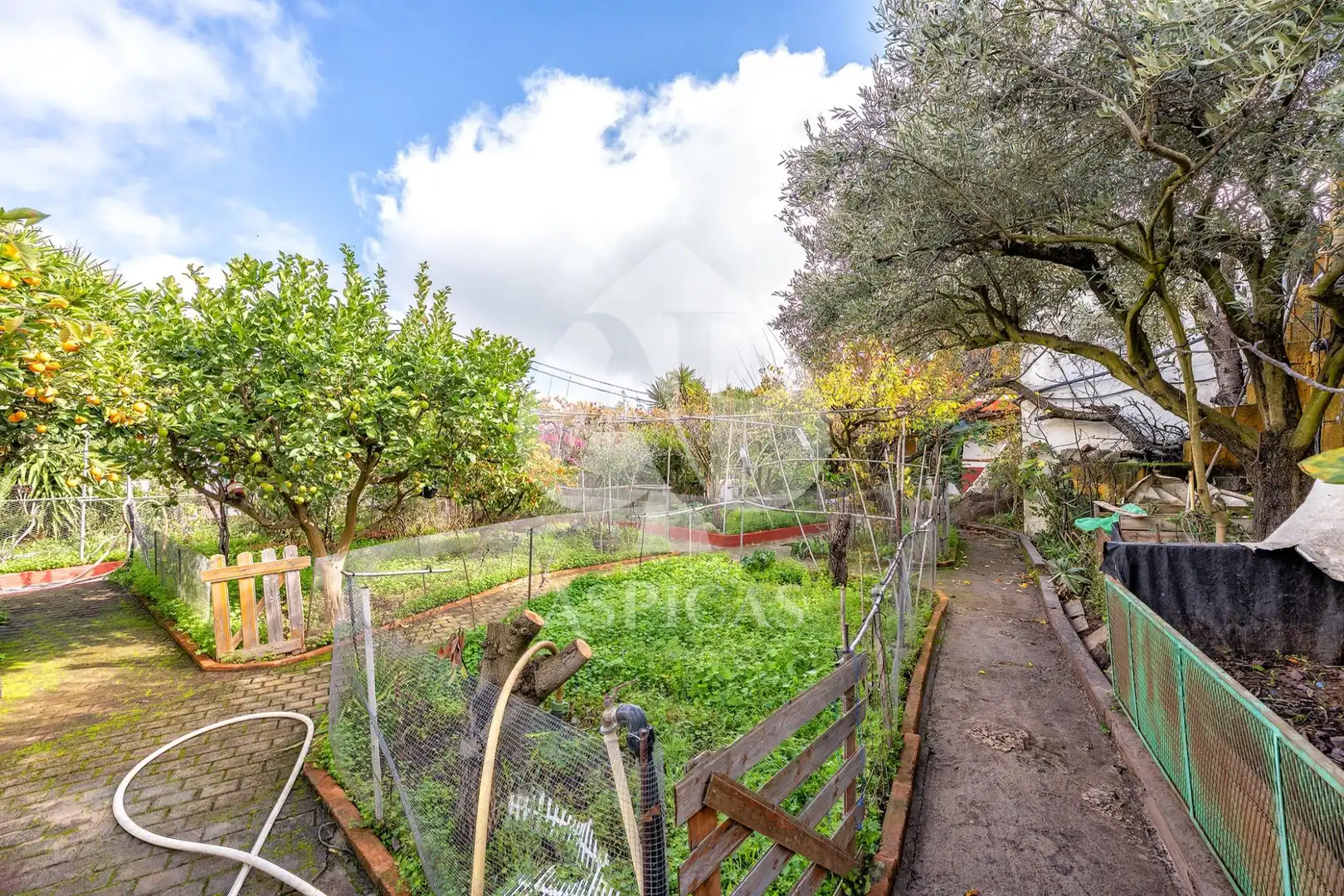 Casa rústica amb jardí en venda a Calle Los Parrales 12, imagen 27