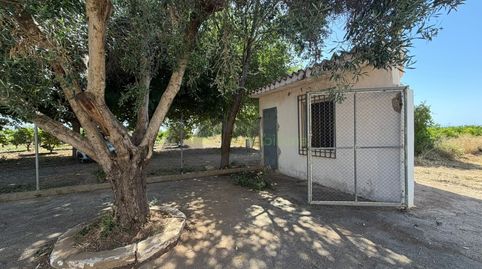 Foto 4 de Finca rústica en venda a Carlet, Valencia
