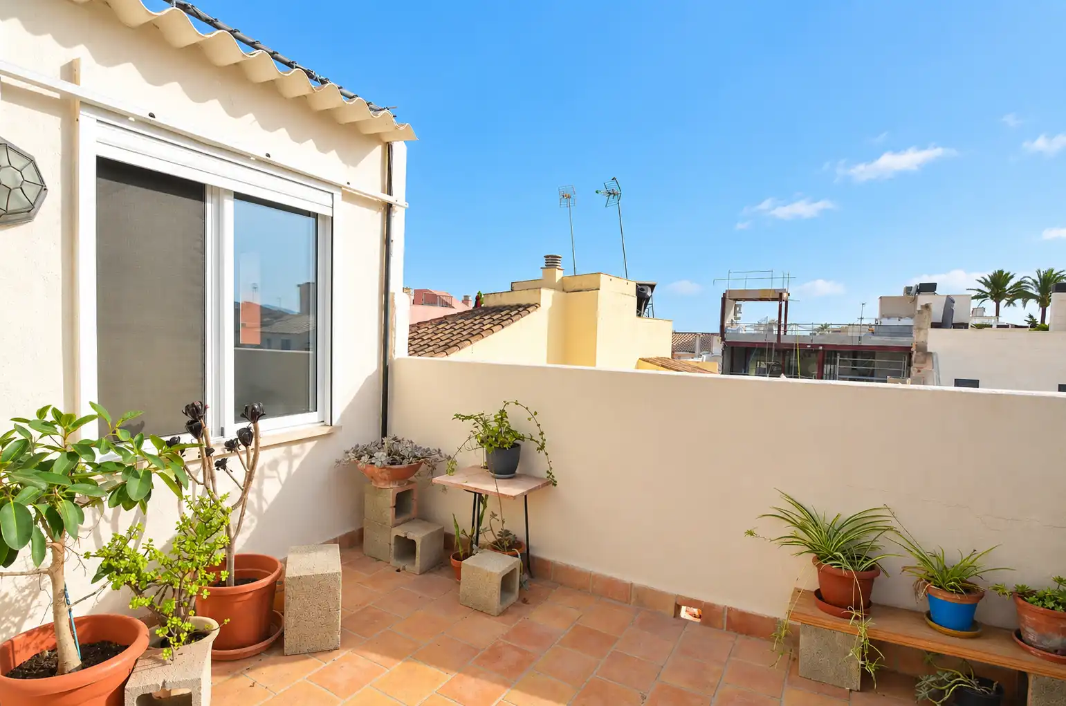 Piso en venta en Platja de Palma, imagen 2
