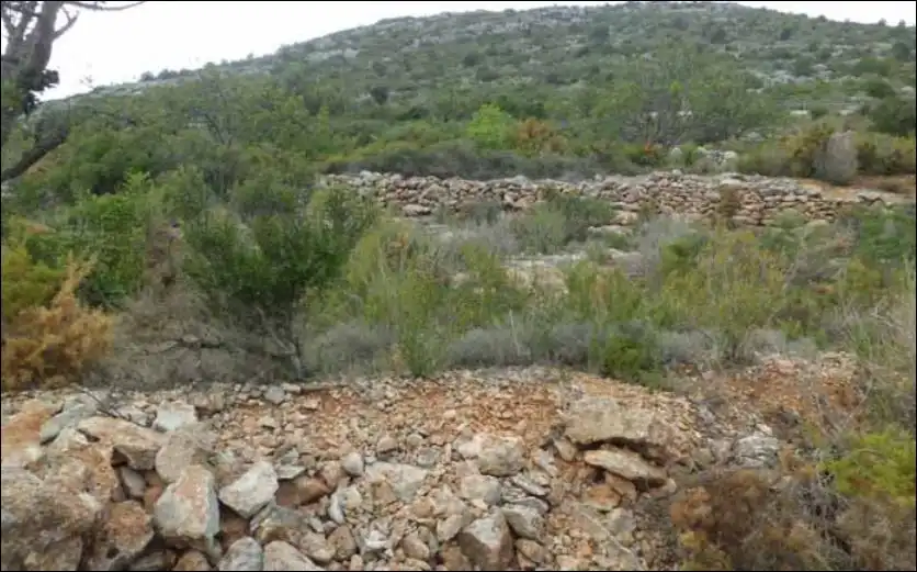 Terreno rústico en venta en Alcalà de Xivert pueblo, imagen 2