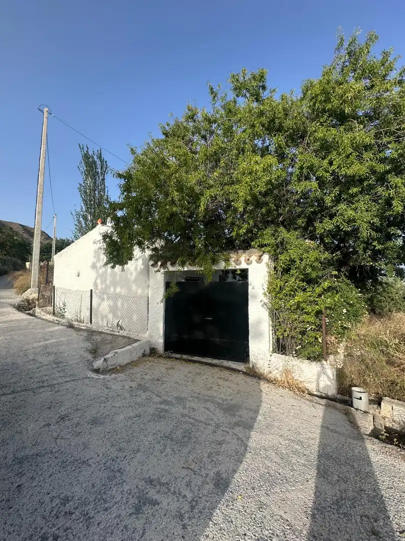 Vista exterior de Finca rústica en venta en Somontín