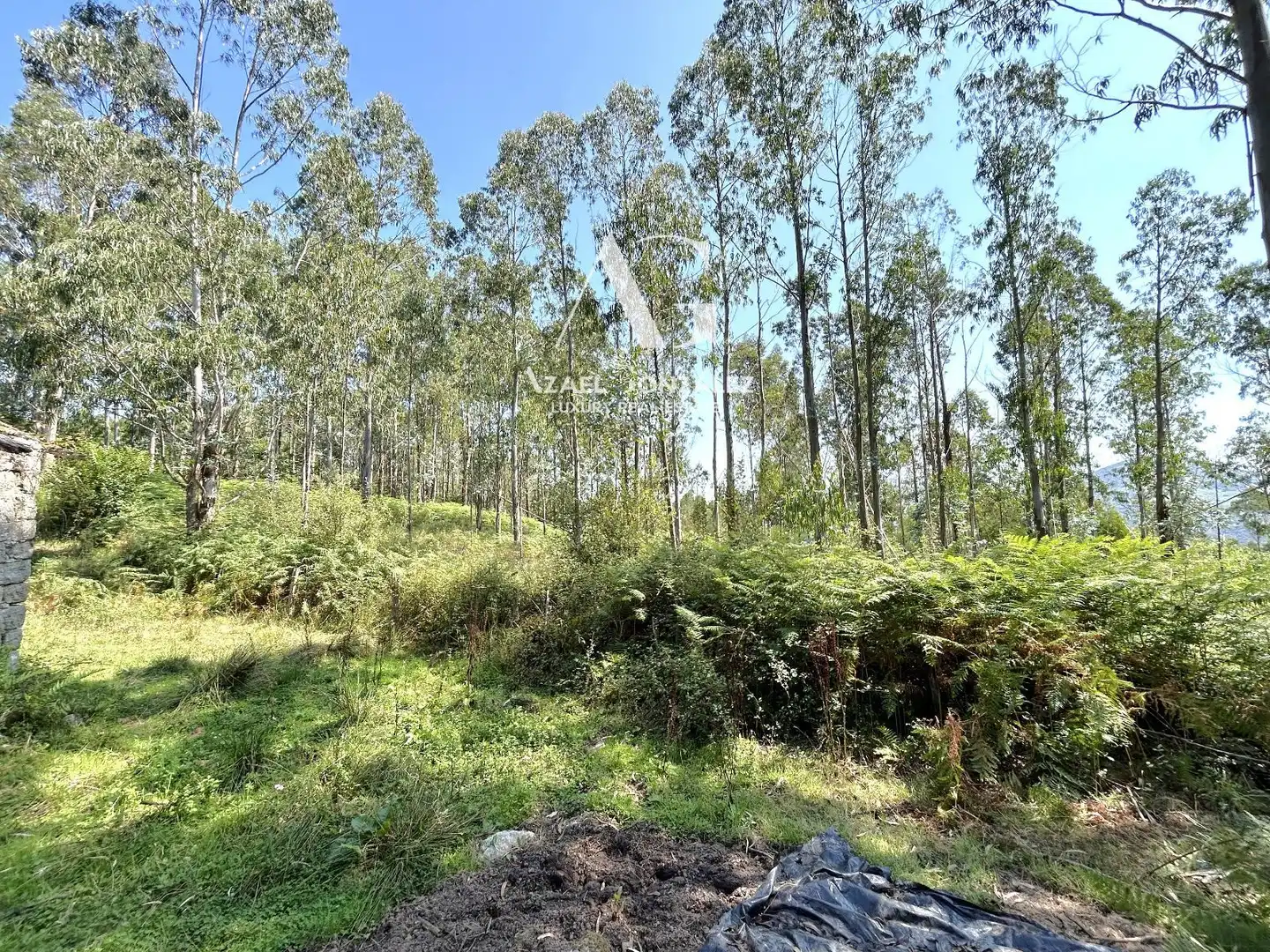 Casa o chalet en venta en Herrerías