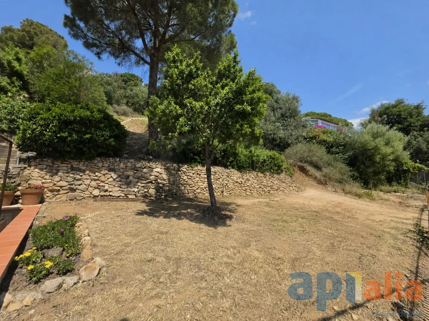 Residential land for sale in Carrer de la Selva