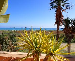 Jardí de Apartament en venda en Sant Josep de sa Talaia amb Aire condicionat, Terrassa i Piscina