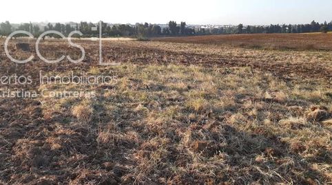 Foto 3 de Terreny en venda a Almonte ciudad, Almonte