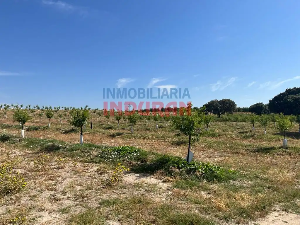 Casa rústica en venda a Belvís de Monroy, imagen 3