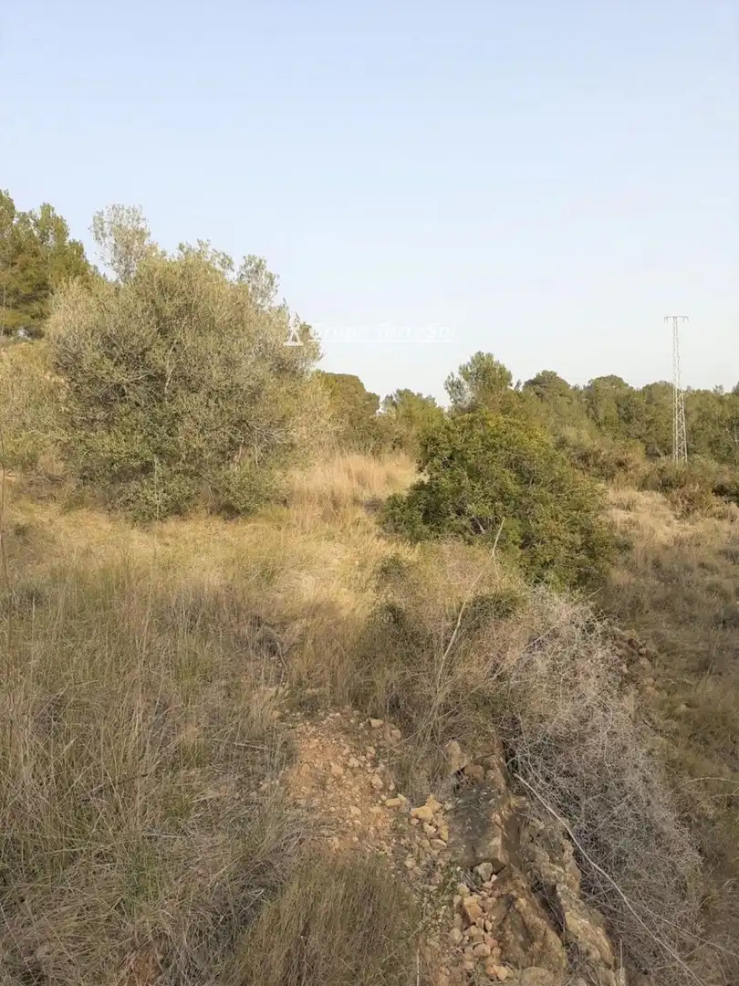 Rustikales Grundstück zum Verkauf in POLIGONO, imagen 2