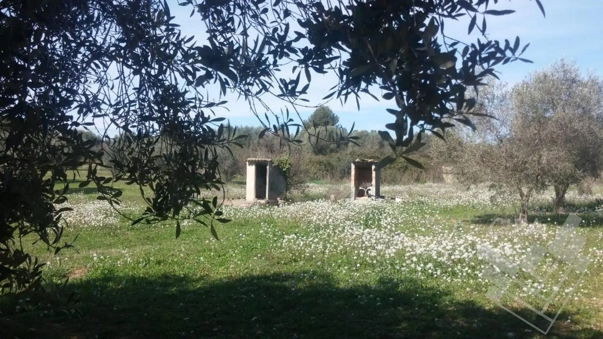 Terrain rustique à vendre à 20, imagen 5